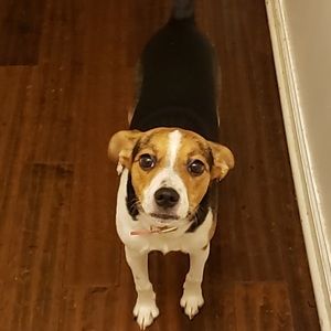 Meet your Posher, Alisha